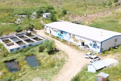 Muş’tan Japonya’ya alabalık ihracatı