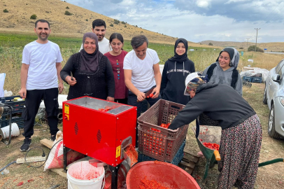 Ersin Korkut domates toplayıp salça yaptı