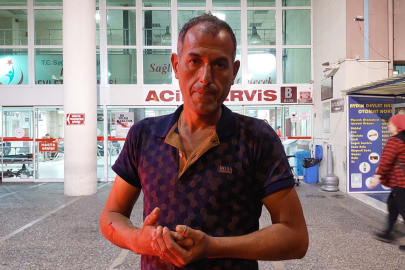 Sahipsiz sokak köpeği terörü devam ediyor!