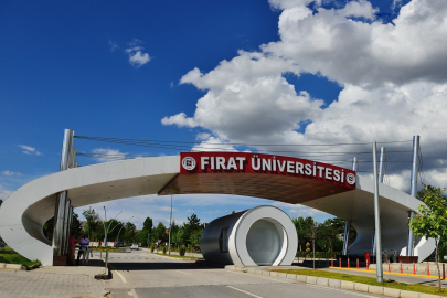 Fırat Üniversitesi başarılarını devam ettiriyor