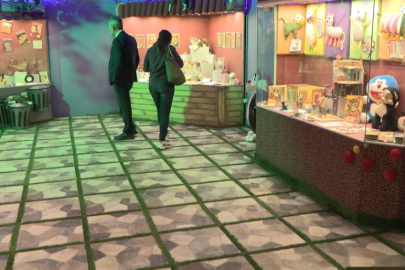 ‘Kedi Müzesi’ açıldı!