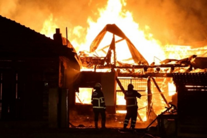 4 ev ile 1 ahırda yangın: 22 büyükbaş ve 3 köpek öldü