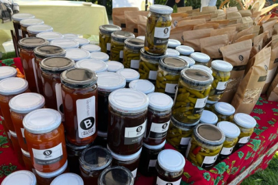 Bursa'da 'Doğal yaşam şenliği'