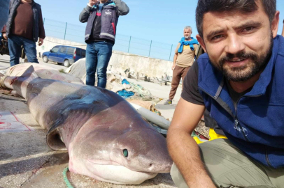 1 tonluk 'Jaws' ile selfi çektirdiler
