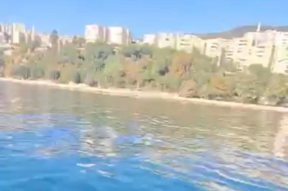 Marmara kıyılarını ele geçirdiler! O görüntüler