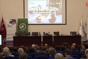 Başkan Aktaş: “Tarım ihracatında milyar dolarları konuşmalıyız"