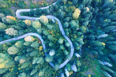 Örümcek Ormanları sonbaharın büyüsüne kapıldı