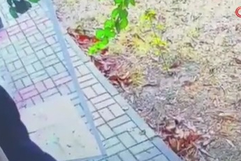 Hırsız kamerada..."Tatile gideyim" derken, cezaevine gitti