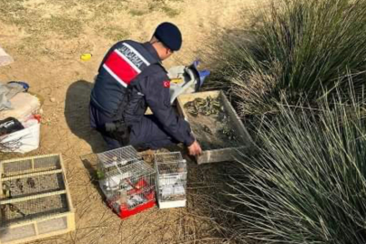 Yenişehir'de kaçak avcıya Jandarma'dan suçüstü