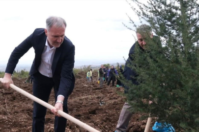 Cumhuriyet ormanını hep birlikte kuruyoruz