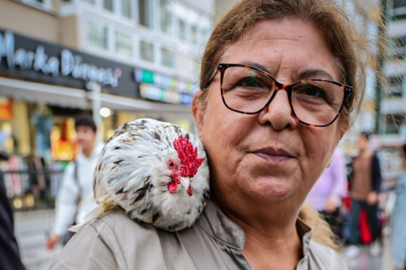 'Horoz bıdık' sahibinin omuzundan hiç inmiyor