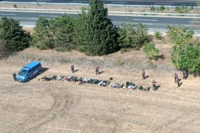 890 kaçak göçmen yakalandı