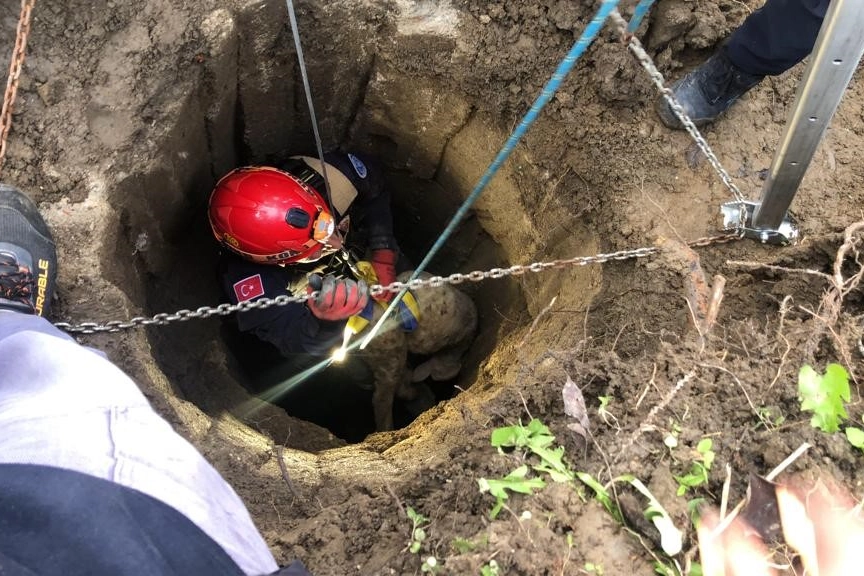 Su kuyusunda 4 gün mahsur kalan kuzuyu itfaiye ekipleri kurtardı