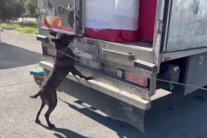 Ev eşyası arasında uyuşturucu sevkiyatı