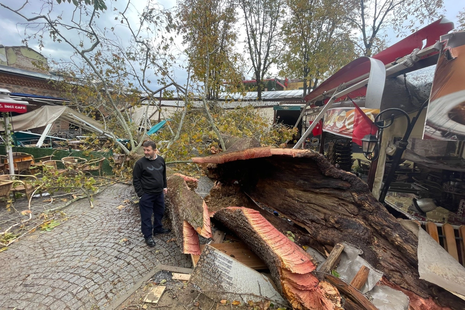 Tarihi Kozahan'da 250 yaşındaki tarihi çınar fırtınaya dayanamadı