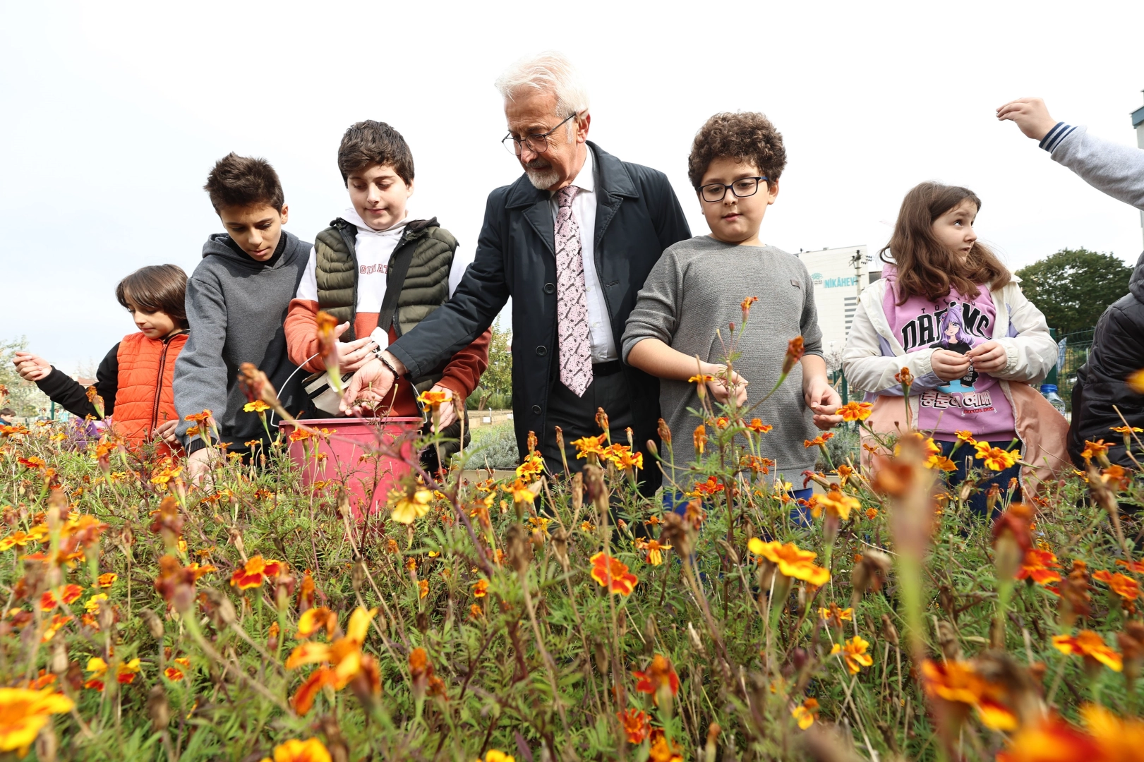 Tarımda mahalle seferberliği