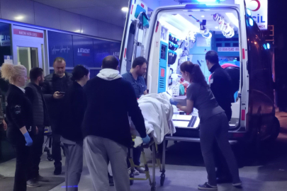 Kayınpeder, damadını ve kardeşini vurdu