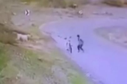 Başkentte bisiklet süren çocuğa köpek saldırdı
