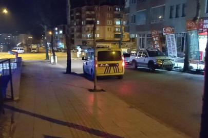 Ağabey ve kardeşin kavgası kanlı bitti