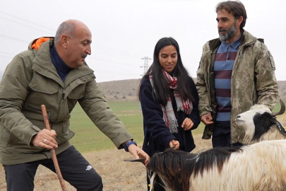 ÇOBANLIK YAPAN EMİNE’NİN HAYALİ YENİ YILDA GERÇEK OLDU