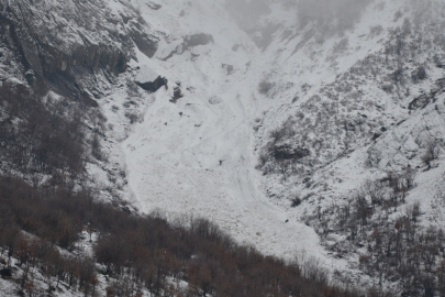 Beytüşşebap’ın yüksek bölgesinde çığ düştü