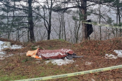 Kestiği ağacın altında kalarak hayatını kaybetti