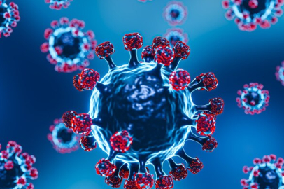 JN1 Varyantı Nedir?