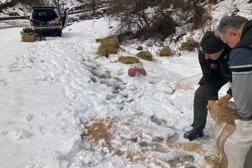 Yaban hayvanlarına yem desteği