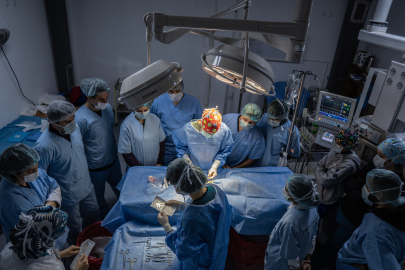 Hayvan Hastanesi’nde 'online randevu' dönemi