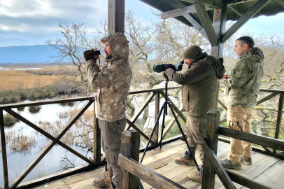 Bursa'daki su kuşları tek tek sayıldı