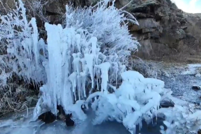 Soğuktan buz tuttu! Eksi 17'yi gördü!