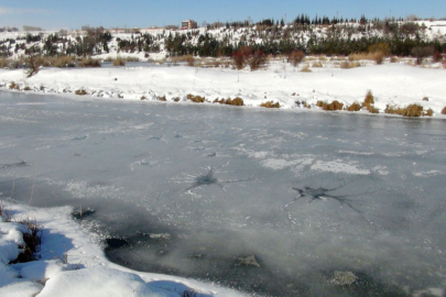 Kuş cenneti buz tuttu