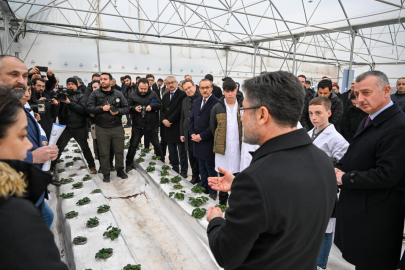 Bu serada 12 ay boyunca hasat mümkün!