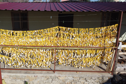 Meyvesi yüz güldürmedi kabuğu altın oldu