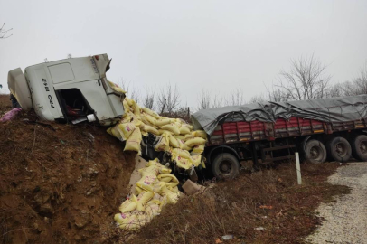 Yem yüklü tır yoldan çıktı: 2 yaralı