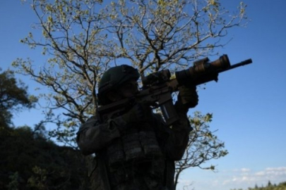 2 PKK'lı terörist teslim oldu