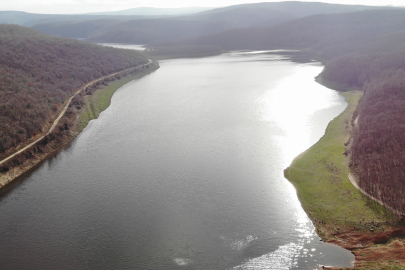 Aylar öncesine kadar hayvanlar otluyordu!