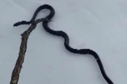 Tedirgin eden görüntü: Deprem habercisi mi