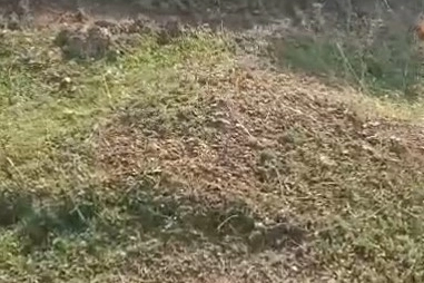 Direksiyonda uyuyakaldı, otomobil takla attı