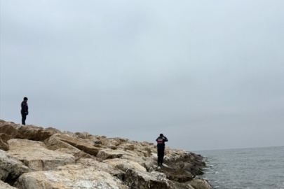 Marmara Denizi'nde batan geminin enkazına 41. dalış yapıldı