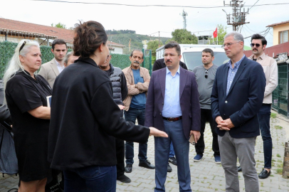 Mudanya'da sokak hayvanları için rehabilitasyon merkezi kuruluyor
