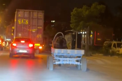 Başıboş at arabası şehir turu attı, görenler şaştı kaldı