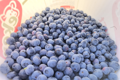 İnegöl'den 5 ülkeye yaban mersini ihracatı