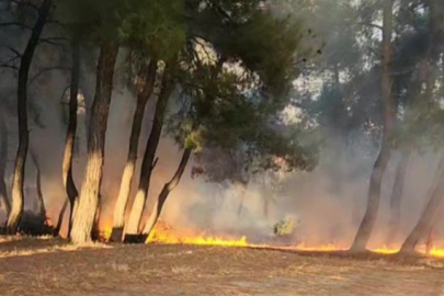 Piknik alanında çıkan yangın ormana sıçramadan söndürüldü