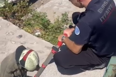 Yaralı martıyı iftaiye ekipleri kurtardı