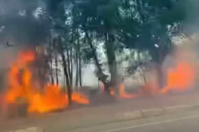 Bursa'da otluk alan alev alev yandı