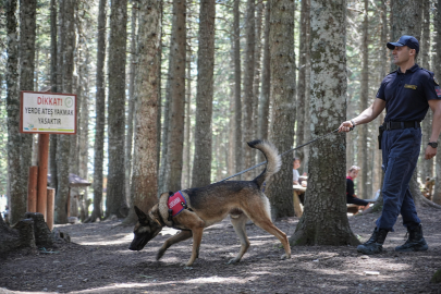 Uludağ'ın ormanlarında jandarmadan 24 saat motorize devriye