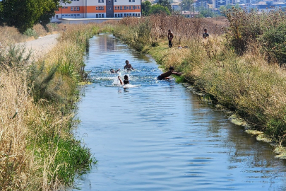 Çifte tehlike: Yangına rağmen su kanalındaki oyunlarını bozmadılar