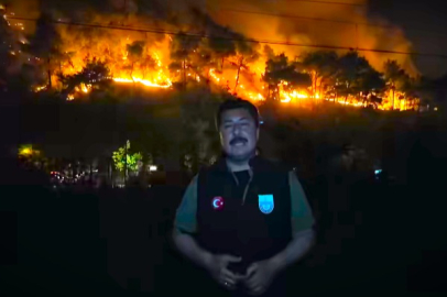 Yangının Dumanları Yenişehir’e De Ulaştı