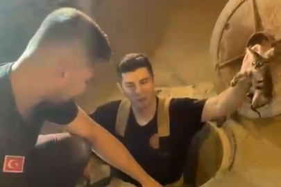 Kanalizasyonda mahsur kalan kedi böyle kurtarıldı